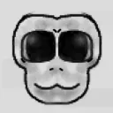 ChimpX