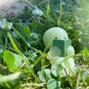 𓏲. ᒪIᒪYᑭᗩᗪ ! ☘✮˚