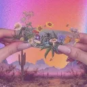 ⍣ ೋ Smokey Tokey☁'s icon