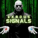 Server Icon