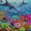 Under the Sea