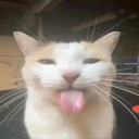 Freaky Memes 2025 Discord Server