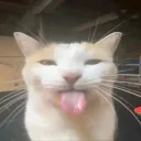 Freaky Memes 2025 Discord Server