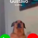 smeckle deckles Discord server icon