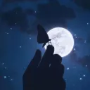 Midnight [FR] - Community