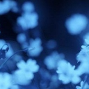 The Chill Latinos Discord server icon