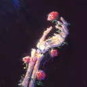𝓟rincess’ Graveyard
