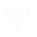 VISION