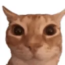 wah😱😱