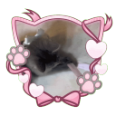 Discovery icon for ᡣ𐭩ྀིྀ  ℳeowie ⑅ 𝒮ocial ⑅ 𝒢iveaway's ⑅ 𝒟ecor Discord server