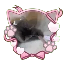 ᡣ𐭩ྀིྀ  ℳeowie  𝒮ocial  𝒢ive... Discord Server Icon