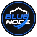 BlueNode Hosting