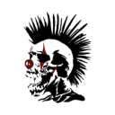 ✯𝐏𝐔𝐍𝐊 𝐂𝐈𝐑𝐂𝐔𝐒✯