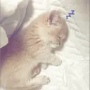 yawn・ᶻ 𝗓𐰁