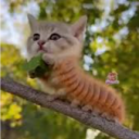 Discovery icon for 𓂃 🧉゛furzone y asi jeje 𓏲 Discord server