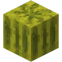 The church of the Melon