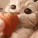 ₊˚⊹ Chloee’s Café ୧  ༘ ₊˚. Discord Server Icon