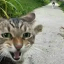 Idk something's icon