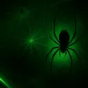 Web Of Desires