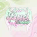 ˙ ꒰꒰   BYD Media  ୨୧ ﹒ #RT950!