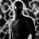 Spideys Lair.