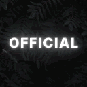 OFFICIAL RANKINGS™ NA | BL:R avatar