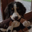 Mutt’s Kennel Discord server icon