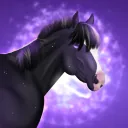 𝐓𝐰𝐢𝐥𝐢𝐠𝐡𝐭 𝐃𝐫𝐞𝐬𝐬𝐚𝐠𝐞 𝐎𝐒
