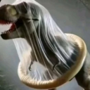 🌎 | Coalition of Fandoms ESP