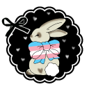 Transcend icon