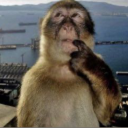 Grow a Garden | Trading