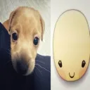 ^_^