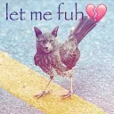 Seafood boil Discord server icon