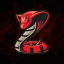 Cobra Services