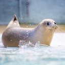 True…^2: Beyond Maybe... Discord server icon