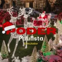Poder Paulista: Pernambuco | 2002