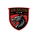 DRAGON TEAM | Official Server