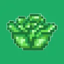 Cabbage!
