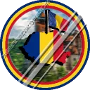 Romanianball1's Stealer Army🇷🇴 Discord server icon