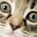 Jaspergers Discord Server Icon