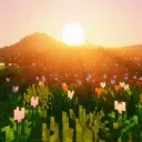 °○Magna Terra smp○°