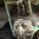 Yapper's Ward Discord server icon