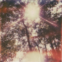 euphoria Discord server icon