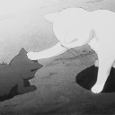 🩶 Silly Idiots🩶 Discord server icon