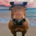 Swirvy7 Community