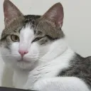 熊熊冬眠處
