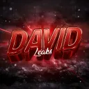 DAVID LEAKS ™