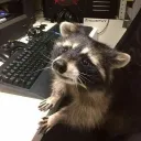 Trash Panda Taverne