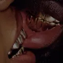 ᴍᴀᴅɪ’ꜱ ᴡᴏʀʟᴅ ᢉ𐭩