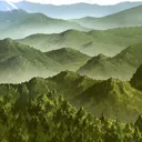 Sylvan Forest